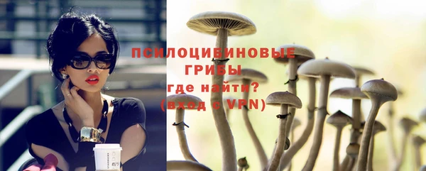 a pvp Аркадак
