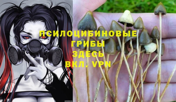 дурь Армянск