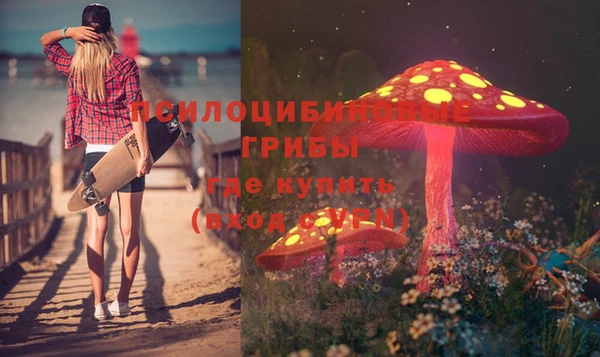 дурь Армянск
