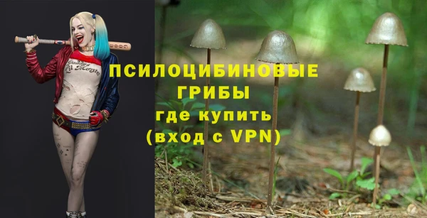 прущие крисы Алексин