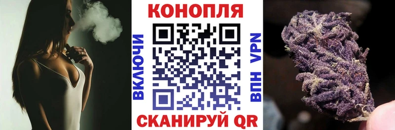 Бошки Шишки гибрид Харовск